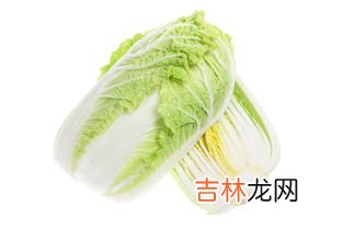 白菜属于什么科,白菜归属于什么科