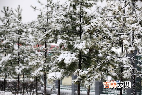 大雪是如何形成的,雪是怎么形成的,答案简单些