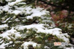 大雪是如何形成的,雪是怎么形成的,答案简单些