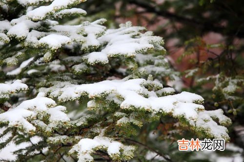 大雪是如何形成的,雪是怎么形成的,答案简单些