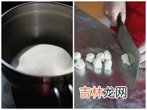 胡萝卜素馅饺子可以放虾皮吗,莲菜胡萝卜素饺子馅做法大全