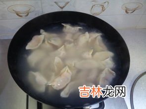 胡萝卜素馅饺子可以放虾皮吗,莲菜胡萝卜素饺子馅做法大全