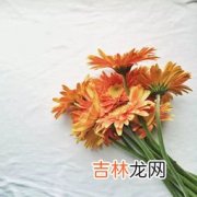 给父母送什么花才合适,你知道有什么花适合送给父母做结婚纪念日礼物吗？