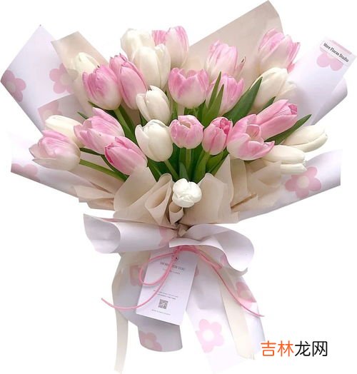 给父母送什么花才合适,你知道有什么花适合送给父母做结婚纪念日礼物吗?