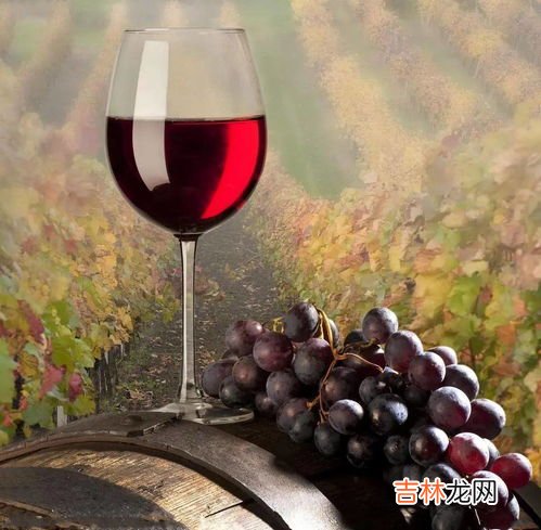 干白和干红葡萄酒的区别,干红和干白有什么区别？