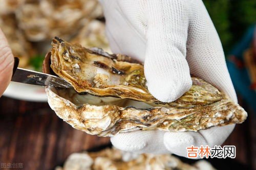 海蛎子内脏如何去掉,生蚝怎么清理里面内脏