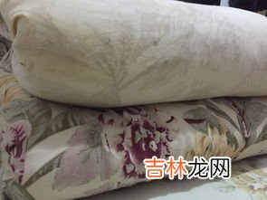 棉被芯脏了怎么洗,棉被怎么洗尿过的棉花咋洗