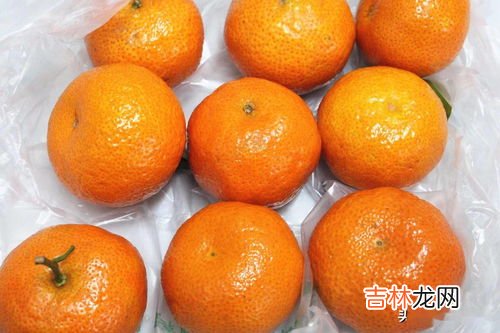 沙塘橘子怎么保存,桔子如何保鲜保存