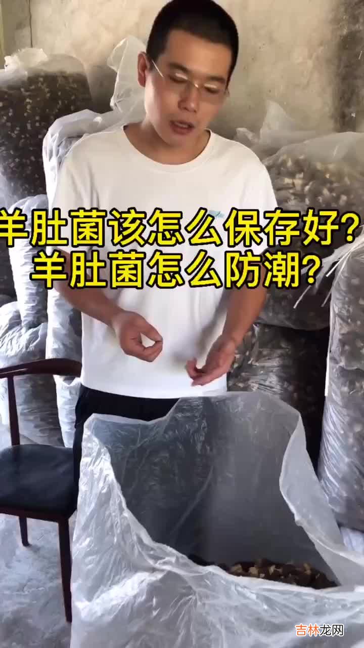 鲜羊肚菌怎样储存,鲜羊肚菌如何冷冻保存