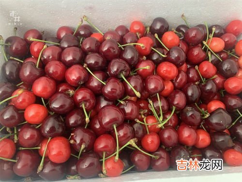 车厘子黑色和红色区别,红车厘子和黑车厘子的区别
