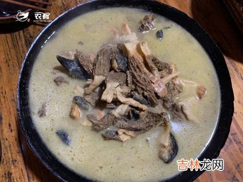 羊肚菌储存方法,羊肚菌蘑菇0度保存可以吗0度保鲜可以吗?
