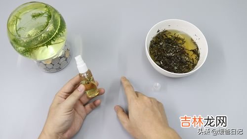 艾草水可以用来洗头吗,艾草能洗头发吗 艾草洗头发有什么好处