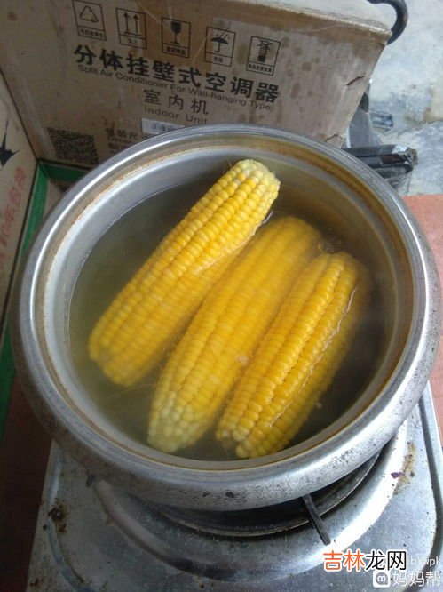 煮玉米的水能喝吗,玉米水怎么喝健康