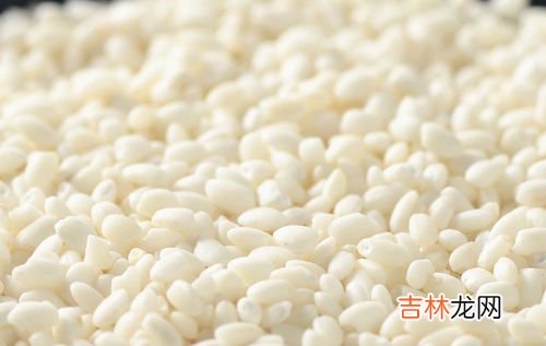 黏米和糯米是不是一种米,粘米和糯米的区别