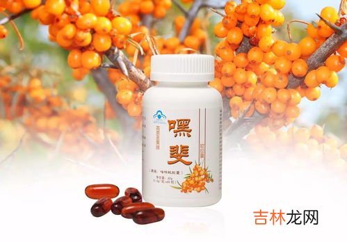 沙棘油有激素吗,沙棘油为什么能丰胸?
