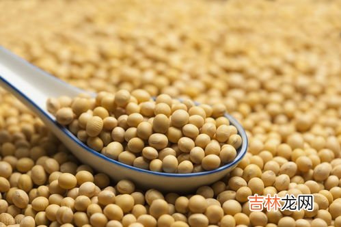 黄豆有哪些功效与作用,黄豆的功效与作用