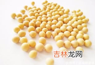 黄豆有哪些功效与作用,黄豆的功效与作用