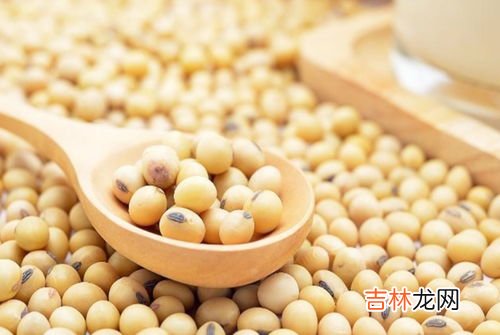 黄豆有哪些功效与作用,黄豆的功效与作用