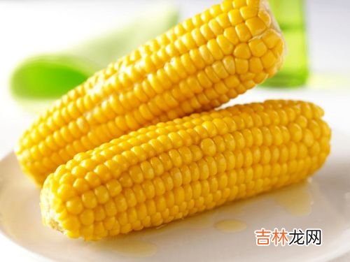 玉米是被子植物吗,玉米是被子植物吗?