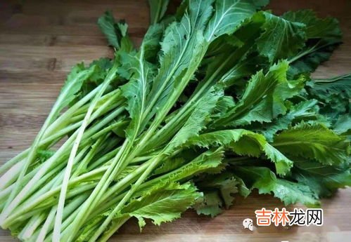 腊菜和雪里红的区别,秋节吃野生腊莱有哪些营养？