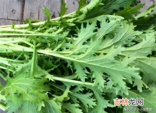 腊菜和雪里红的区别,秋节吃野生腊莱有哪些营养？