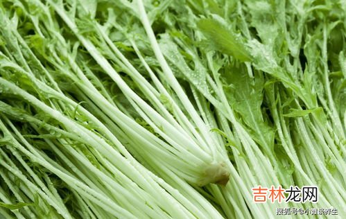 腊菜和雪里红的区别,秋节吃野生腊莱有哪些营养？