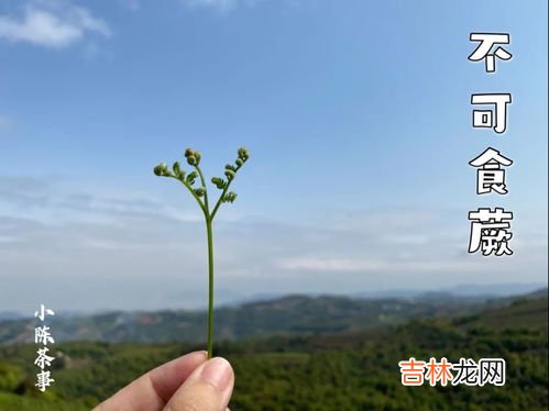 倒春寒一般都会持续多长时间,上海倒春寒一般是什么时候