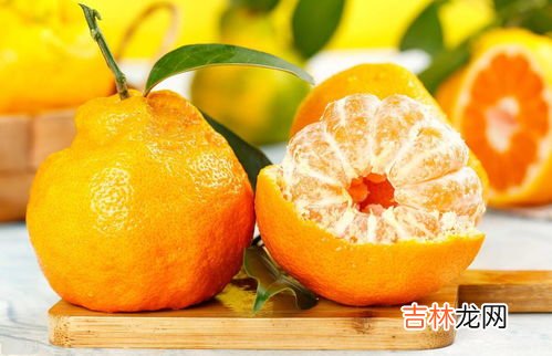 丑橘和耙耙柑有什么区别,丑橘和粑粑柑有什么区别