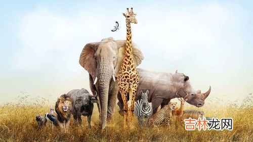 人类是哺乳动物吗为什么,人是哺乳动物吗