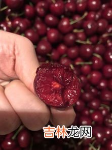 草莓和车厘子能一起吃吗,车厘子和草莓可以一起吃吗