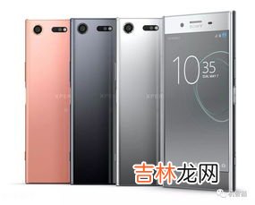 premium是什么牌子,premium香蕉是什么品牌