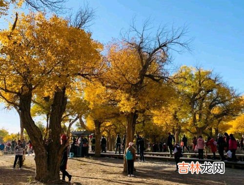 哪个景点秋天最美值得一去,秋天旅游去哪里好玩