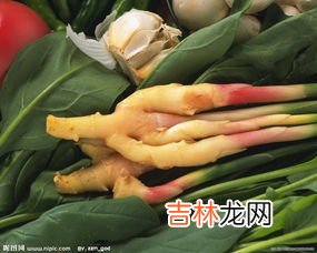 生姜精油的功效与作用,生姜精油可以持续发热名久?