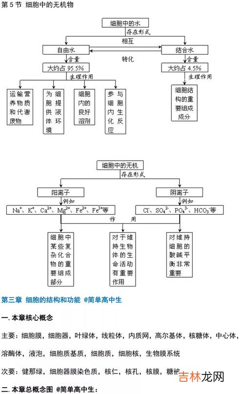 生物的分类有哪些,生物分类包括哪几个层次?