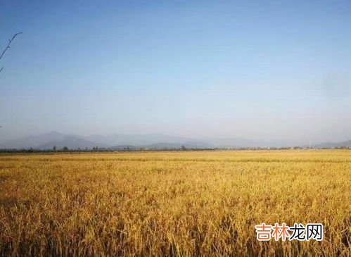 粮食中国的问题有,我国粮食生产存在哪些问题?