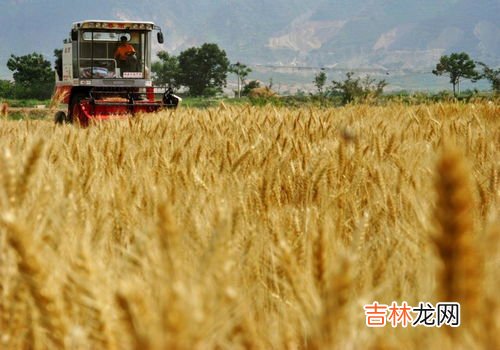 粮食中国的问题有,我国粮食生产存在哪些问题？