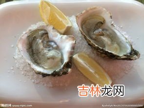 生蚝跟海蛎子的区别有什么,海蛎子和生蚝的区别