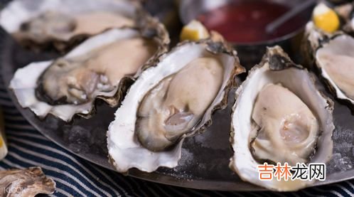 生蚝跟海蛎子的区别有什么,海蛎子和生蚝的区别