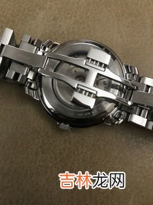如何使用天梭表序列号查询系统,天梭手表序列号到哪查询，辨别真伪？