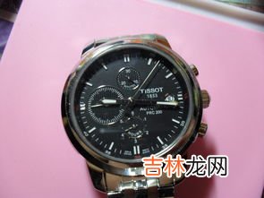 如何使用天梭表序列号查询系统,天梭手表序列号到哪查询，辨别真伪？