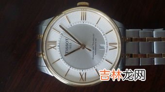 如何使用天梭表序列号查询系统,天梭手表序列号到哪查询，辨别真伪？
