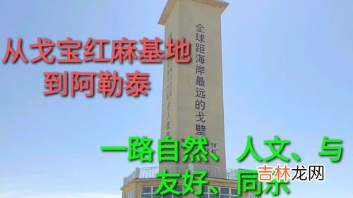戈宝红麻怎么样,罗布麻茶哪个牌子好