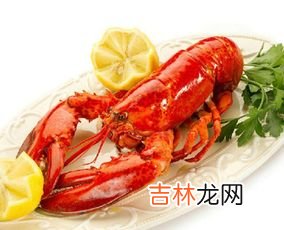 波士顿龙虾在淡水里能活多久,波士顿龙虾寿命 波士顿龙虾寿命是多少年