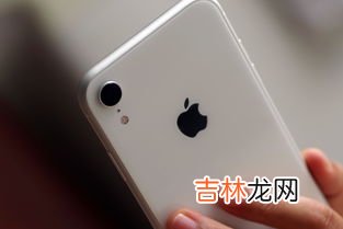 苹果是不是生物,被摘下来的苹果属于生物吗