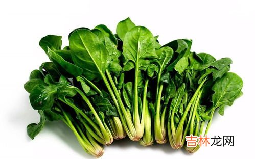 菠菜隔夜加热能吃吗,熟菠菜隔夜能吃吗