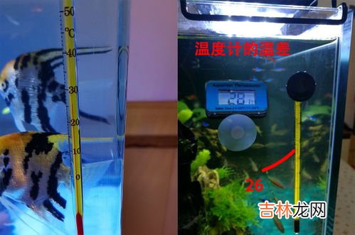 天津加热棒品牌排行榜,太阳能热水器电加热棒那个牌子的好