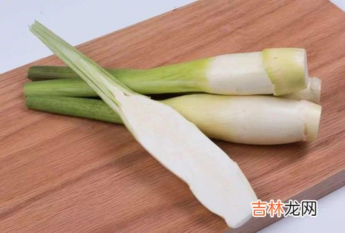 通草的功效有哪些,通草功效与作用及禁忌是什么,通草功效与作用及禁忌症