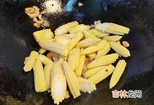 玉米笋是什么,玉米笋是什么?玉米笋的功效与作用