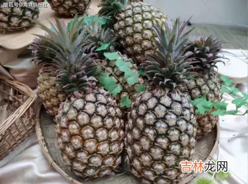 凤梨里面的是黑籽还是虫卵,凤梨里面有黑色颗粒是什么