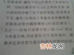 个人改进计划怎么写,员工个人改进计划怎么写